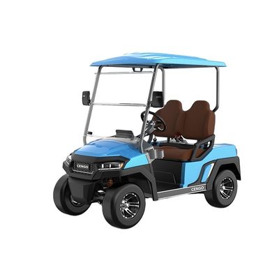 Giá tốt. Chi phí phải chăng 2 chỗ ngồi Electric Golf Buggy hoàn hảo cho gia đình và săn bắn trên bãi biển trực tuyến