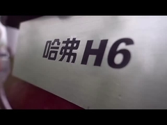 Tốc độ cao HAVAL H6 2023 SUV nhỏ gọn Sự lựa chọn cuối cùng cho thị trường xe nhiên liệu